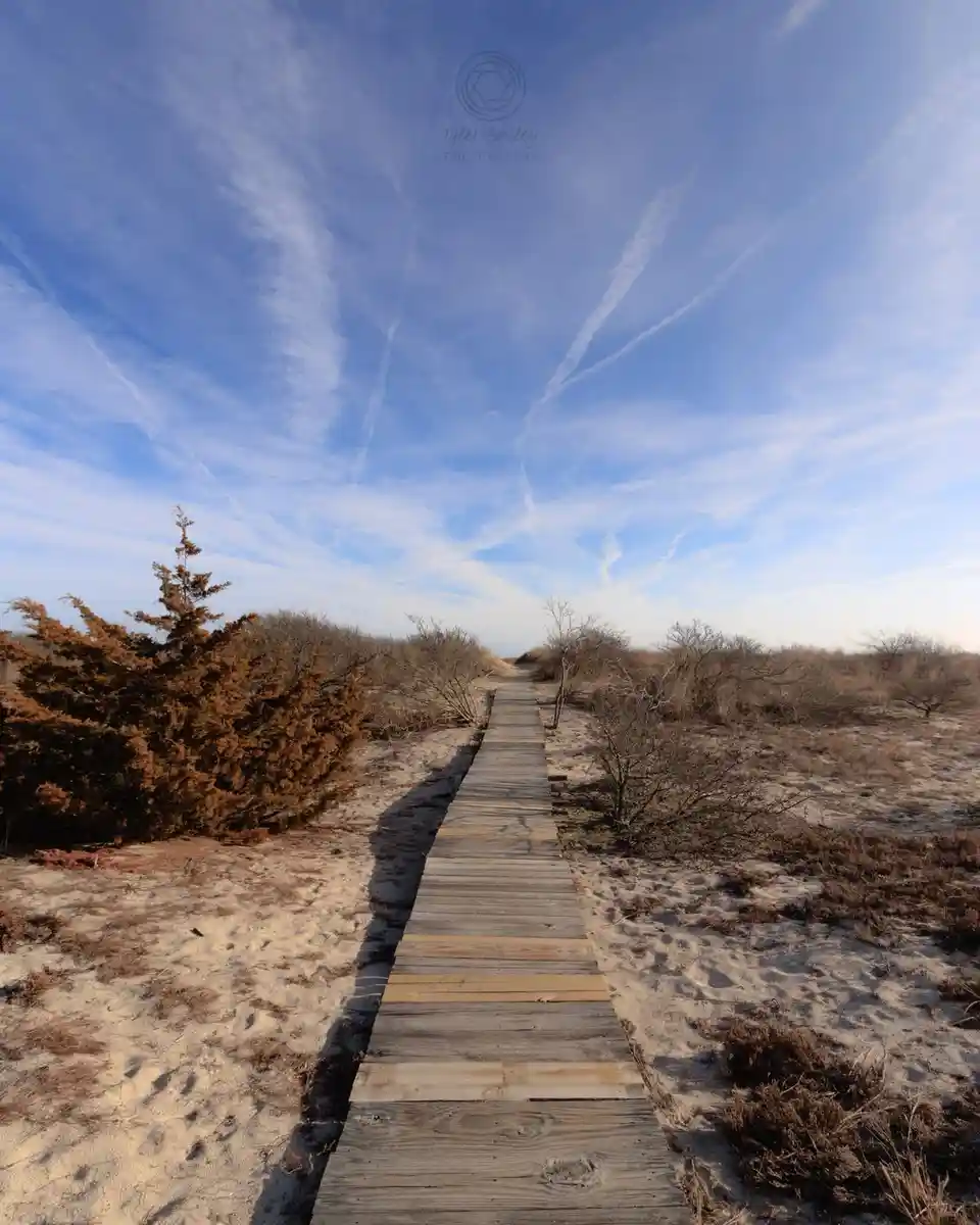 A wooden boardwalk winds through sandy dunes under a bright blue sky with wispy clouds and contrails. Sparse, dry vegetation…