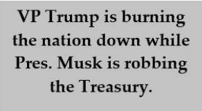 A plain gray background with black text that reads 'VP Trump is burning the nation down while Pres. Musk is robbing the…