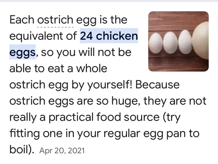 With Egg Prices Soaring, It's Time for Ostriches to Shine!