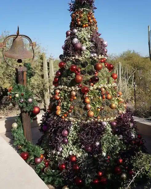 A large, cone-shaped Christmas tree decorated with red, gold, and purple ornaments and greenery stands in a desert landscape…