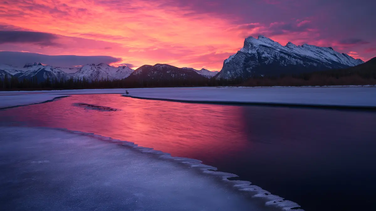 In the Canadian Rockies, where the Prairie Provinces meet, lies Banff National Park, a gem of the True North. This…