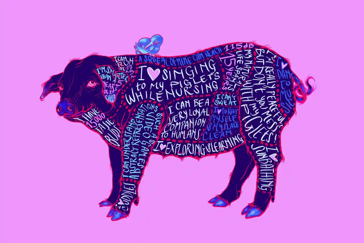 A stylized black pig with a bright pink outline stands against a solid pink background, its entire body covered in various…