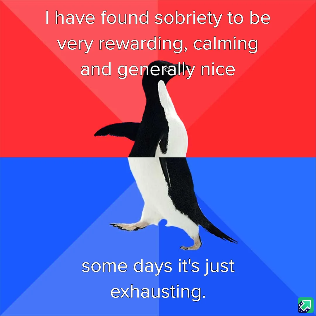 A penguin stands centered against a red and blue background, split diagonally. White text at the top reads 'I have found…