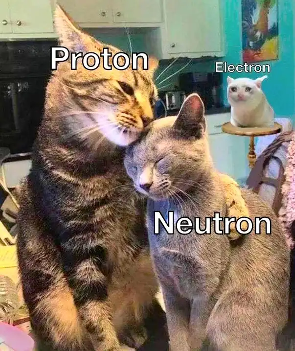 A tabby cat labeled 'Proton' affectionately nuzzles a gray cat labeled 'Neutron' while a small white cat labeled 'Electron'…