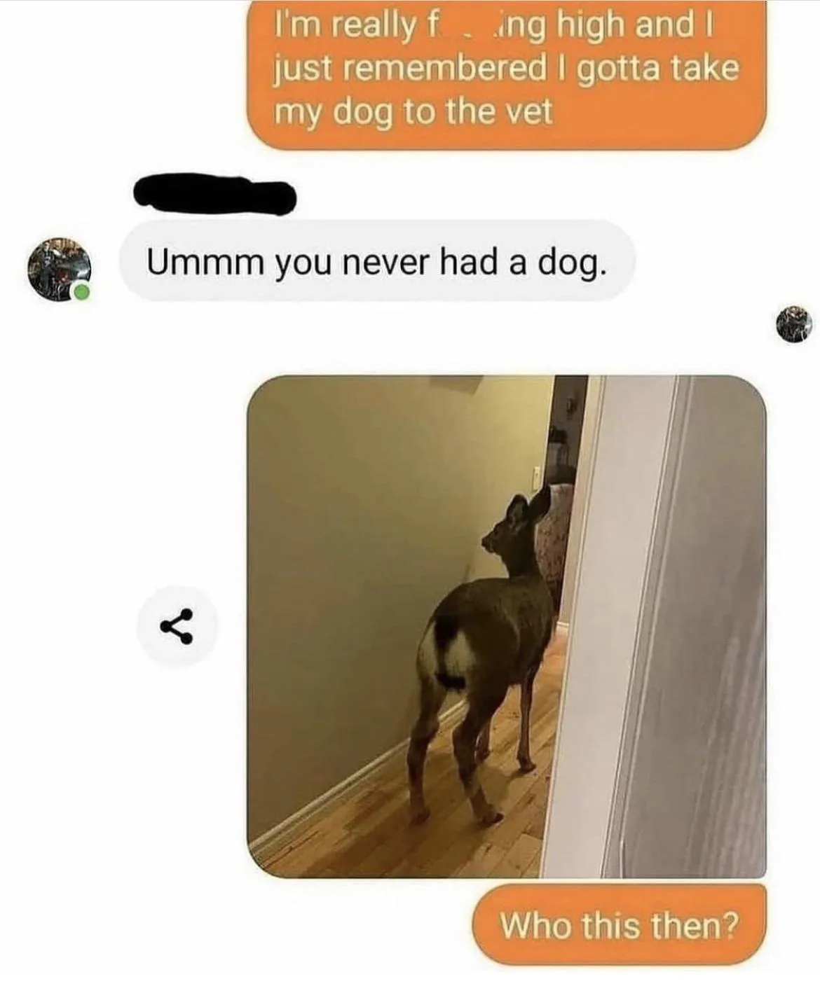A screenshot of a text conversation shows one person claiming they're high and need to take their dog to the vet, while the…