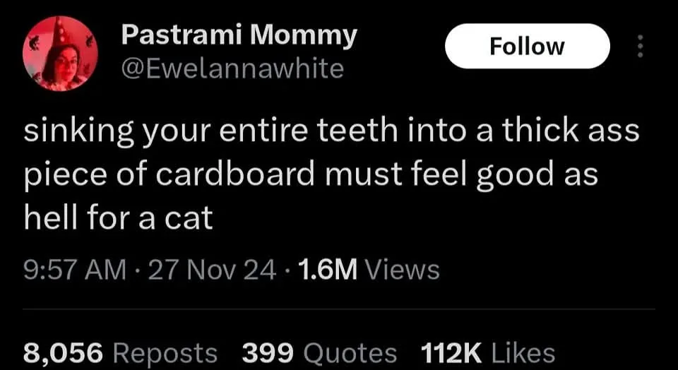 A screenshot of a tweet from 'Pastrami Mommy' (@Ewelannawhite) showing a black background with white text. The tweet reads…
