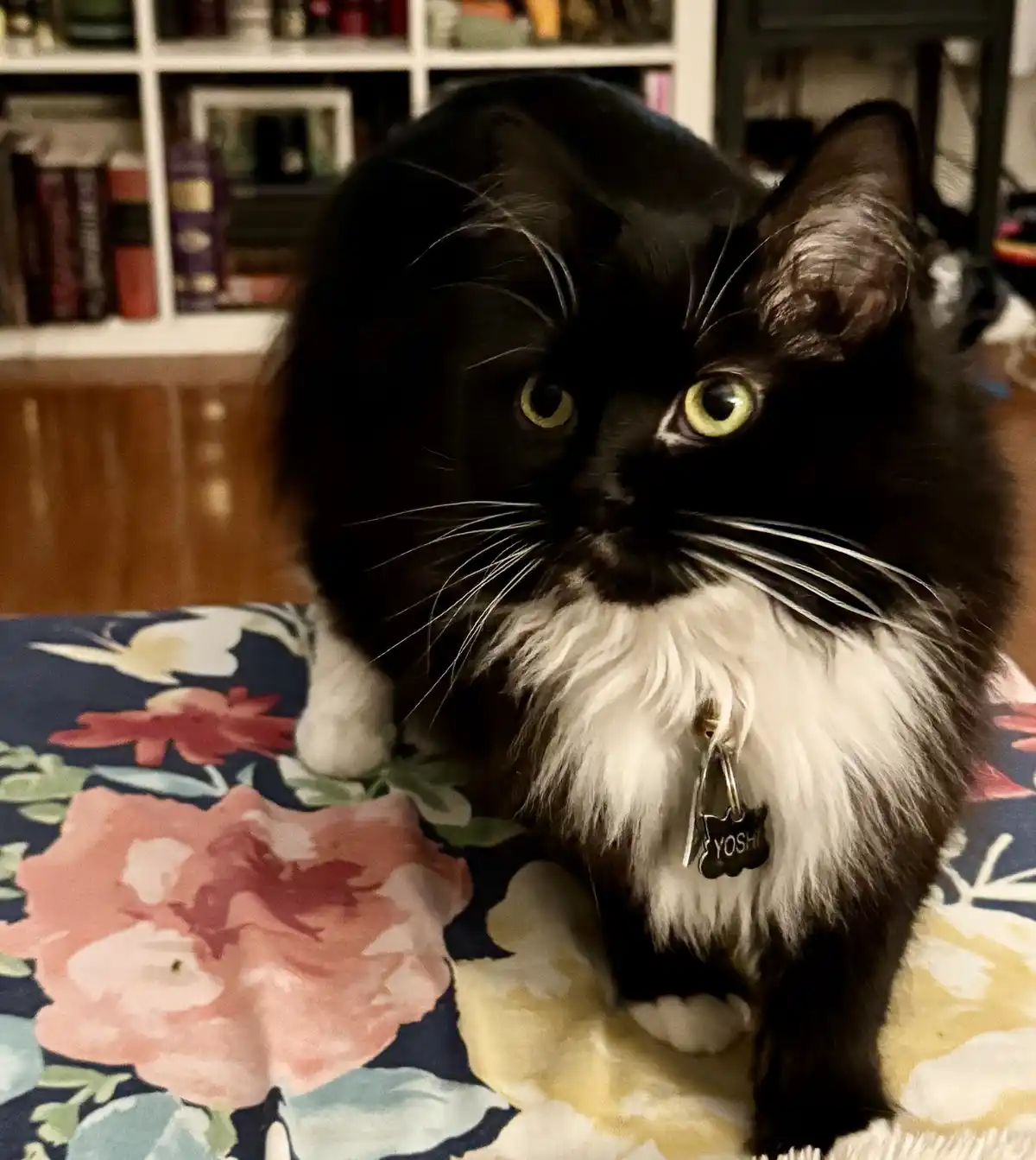 Hey there... Got any snacks?