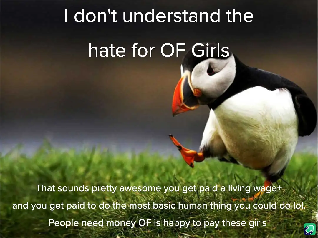 A puffin stands on grass, looking confused, with white text overlaid. The top text reads 'I don't understand the hate for OF…