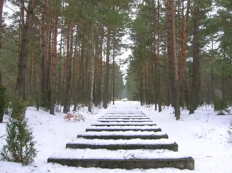 A snow-covered concrete staircase ascends through a dense pine forest, flanked by tall trees and white snow on either side…