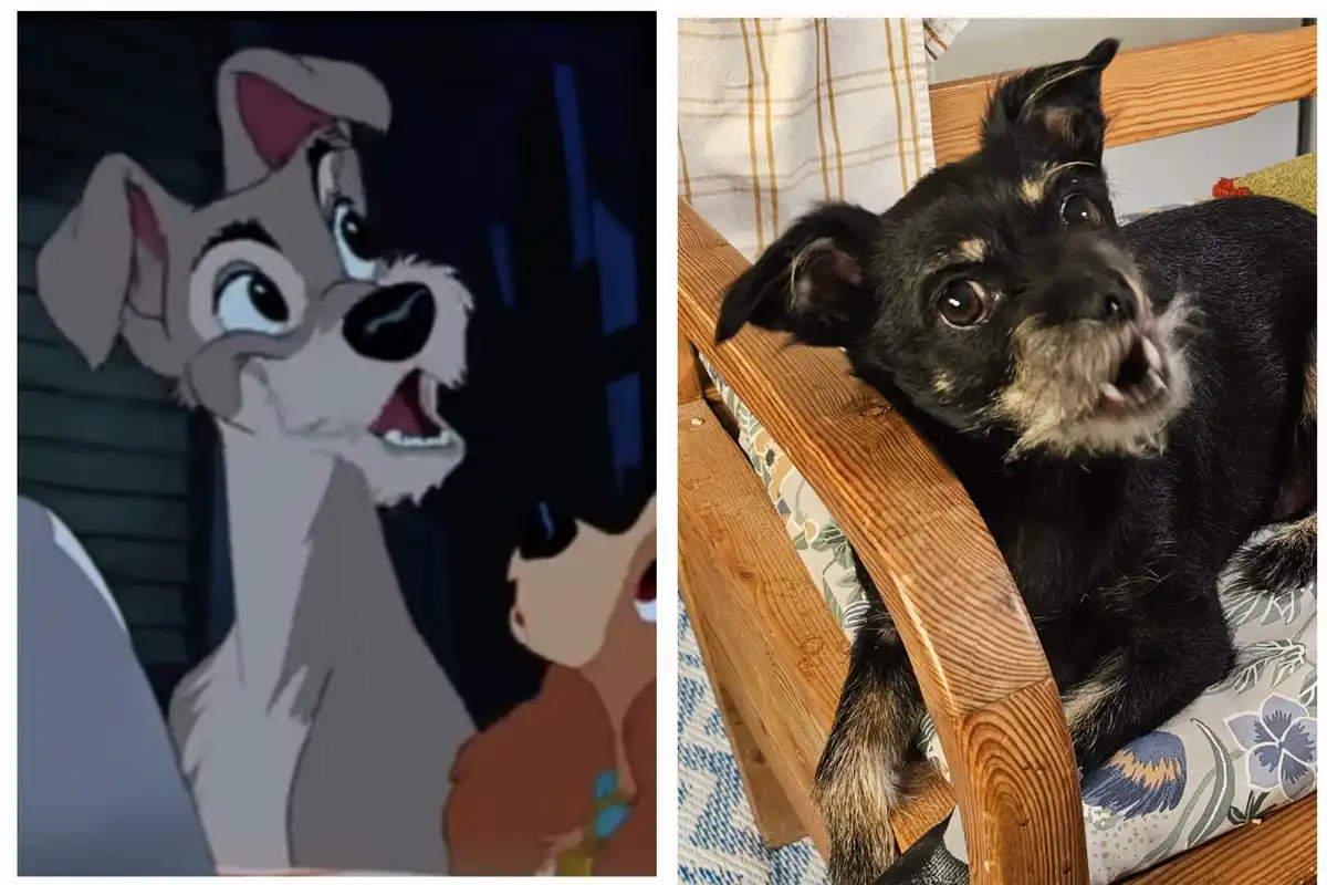 Look at us striking the same pose!