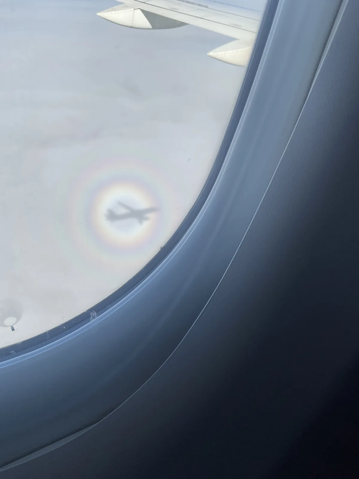 A view from an airplane window shows the shadow of the plane cast on a cloud, surrounded by a colorful halo effect. The wing…