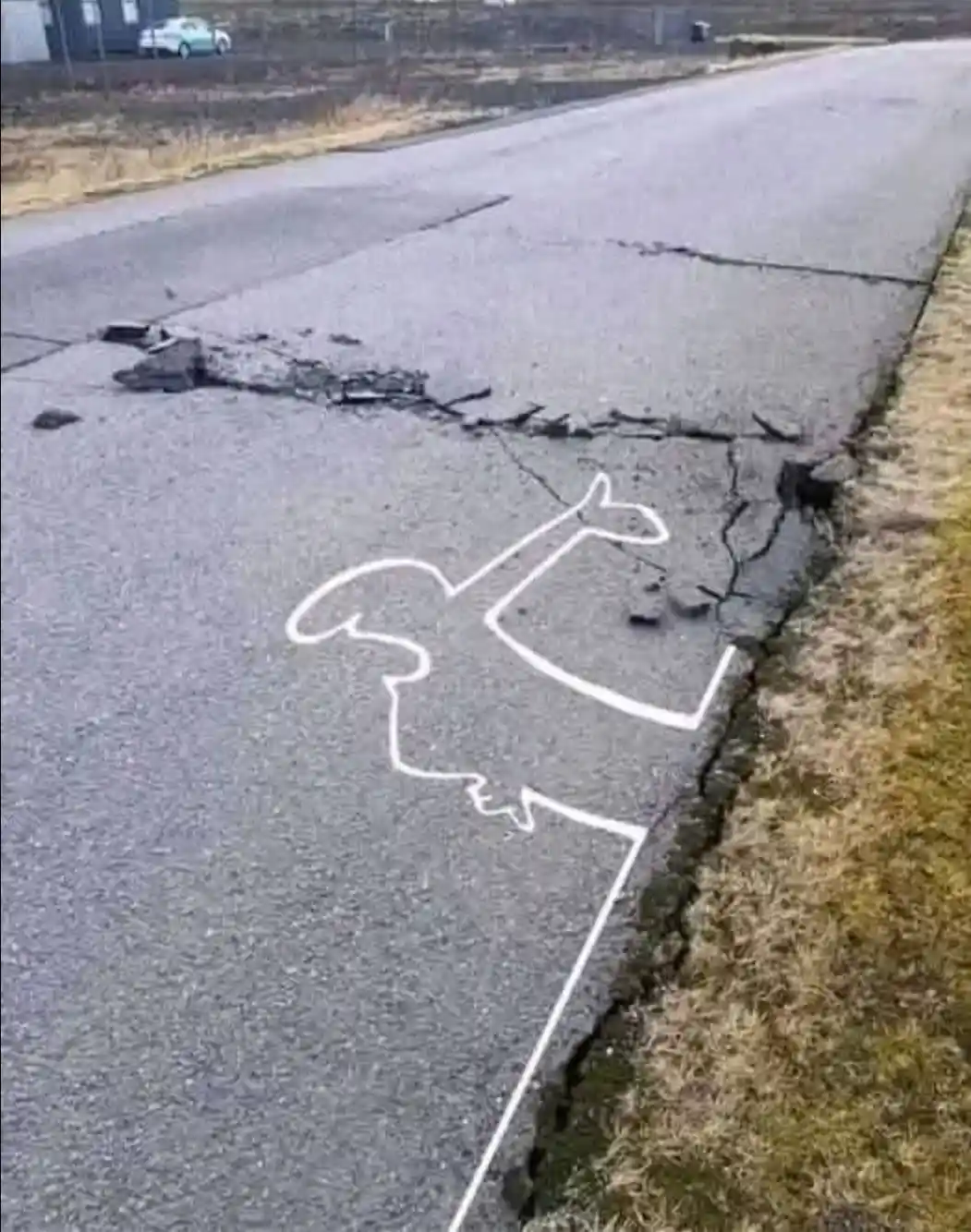 A cracked asphalt road features a white chalk outline of a whale, drawn along the edge where the pavement meets dry grass…