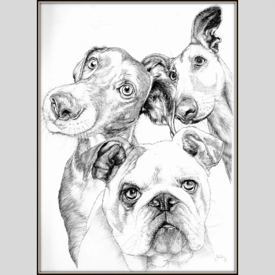 A detailed black-and-white pencil drawing shows three dogs: a bulldog in the foreground looking stern, a slender dog with…