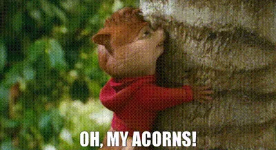 Never stop believing in acorns!