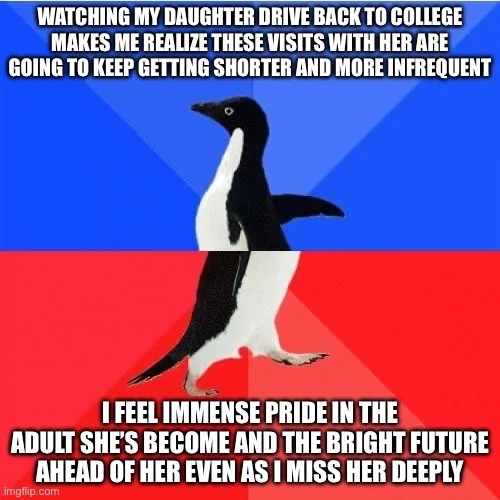 A black-and-white penguin stands in a split background of blue and red, with white text overlaid in two blocks. The top text…
