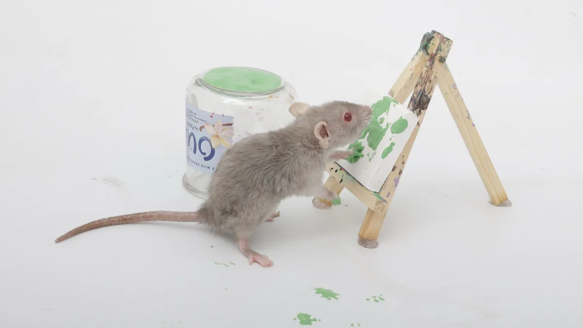 A small gray mouse stands on a white surface next to a tiny wooden easel holding a paper towel with green paint splatters…