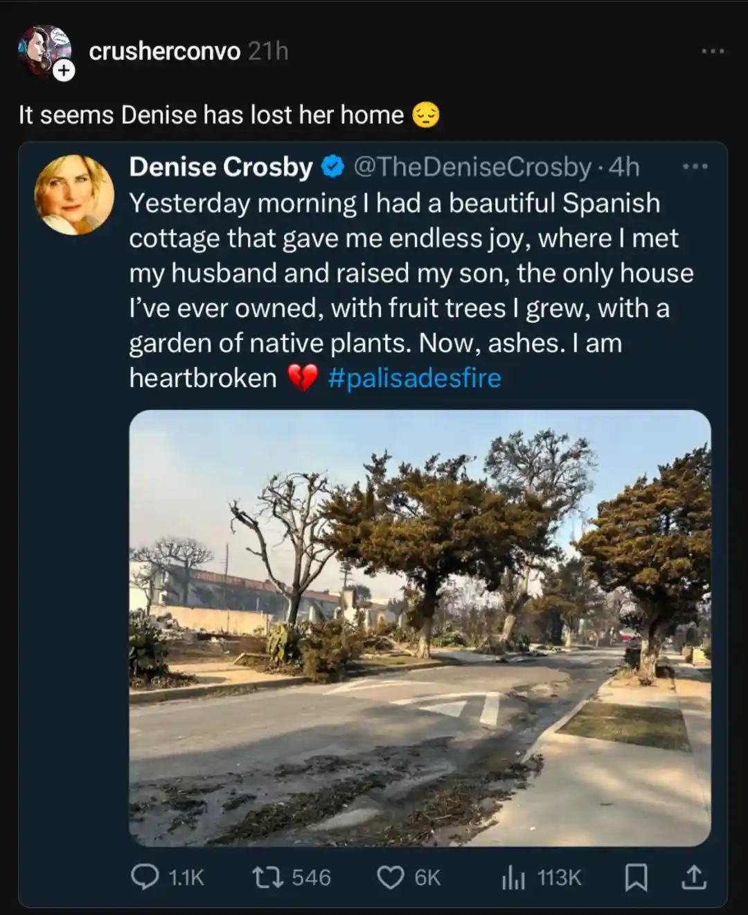 A screenshot of a tweet by Denise Crosby, who mourns the loss of her home to fire, describing it as her only house where she…