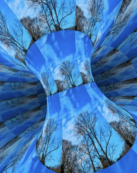 A distorted, kaleidoscopic image of a blue sky with bare trees, warped into a swirling, tunnel-like pattern. Overlaid text…