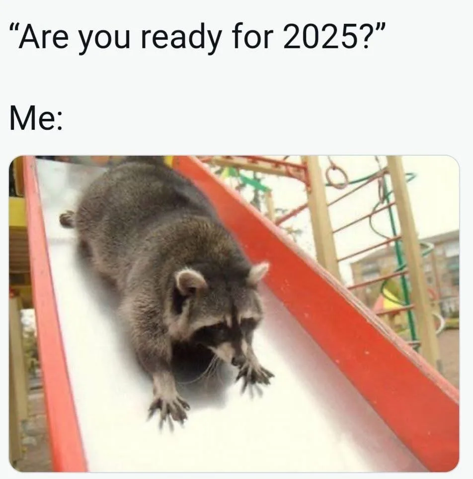 A raccoon is shown sliding down a red playground slide, appearing to be in a hurry or panicked. Above the image, text reads…