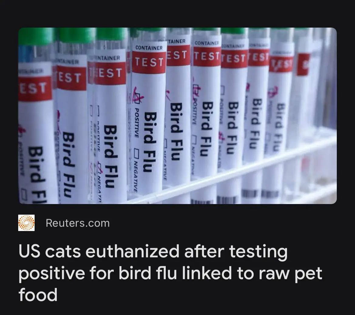 A row of medical test tubes labeled 'Bird Flu' with 'POSITIVE' checkboxes marked, overlaid with a news headline stating 'US…