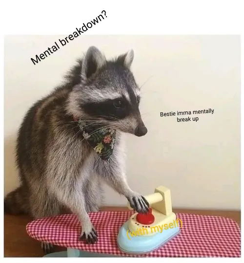 A raccoon wearing a floral bandana stands on an ironing board, pressing a toy iron. Text overlaid on the image reads 'Mental…