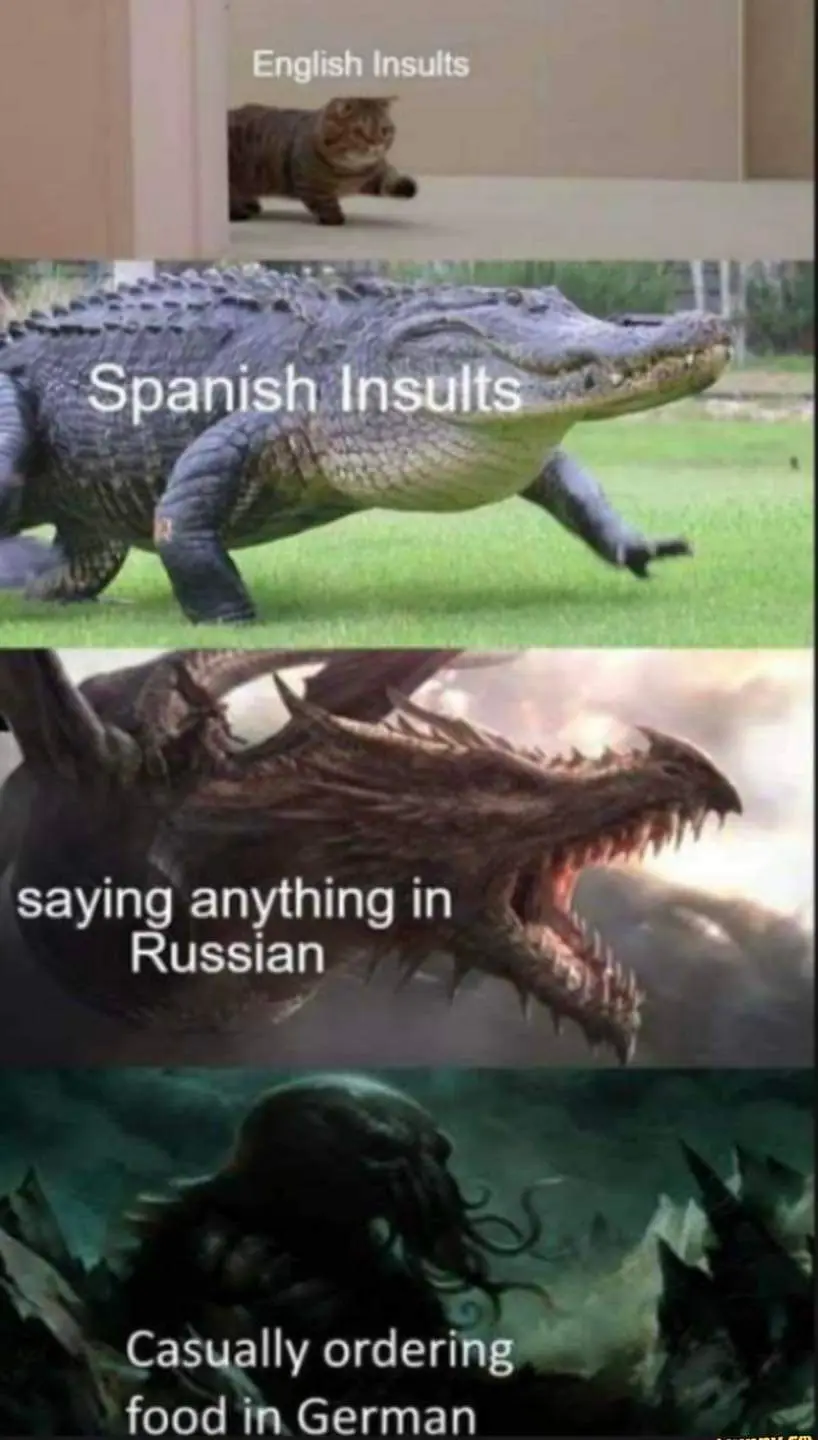A four-panel meme showing escalating levels of perceived aggression: a cat labeled 'English Insults', an alligator labeled…