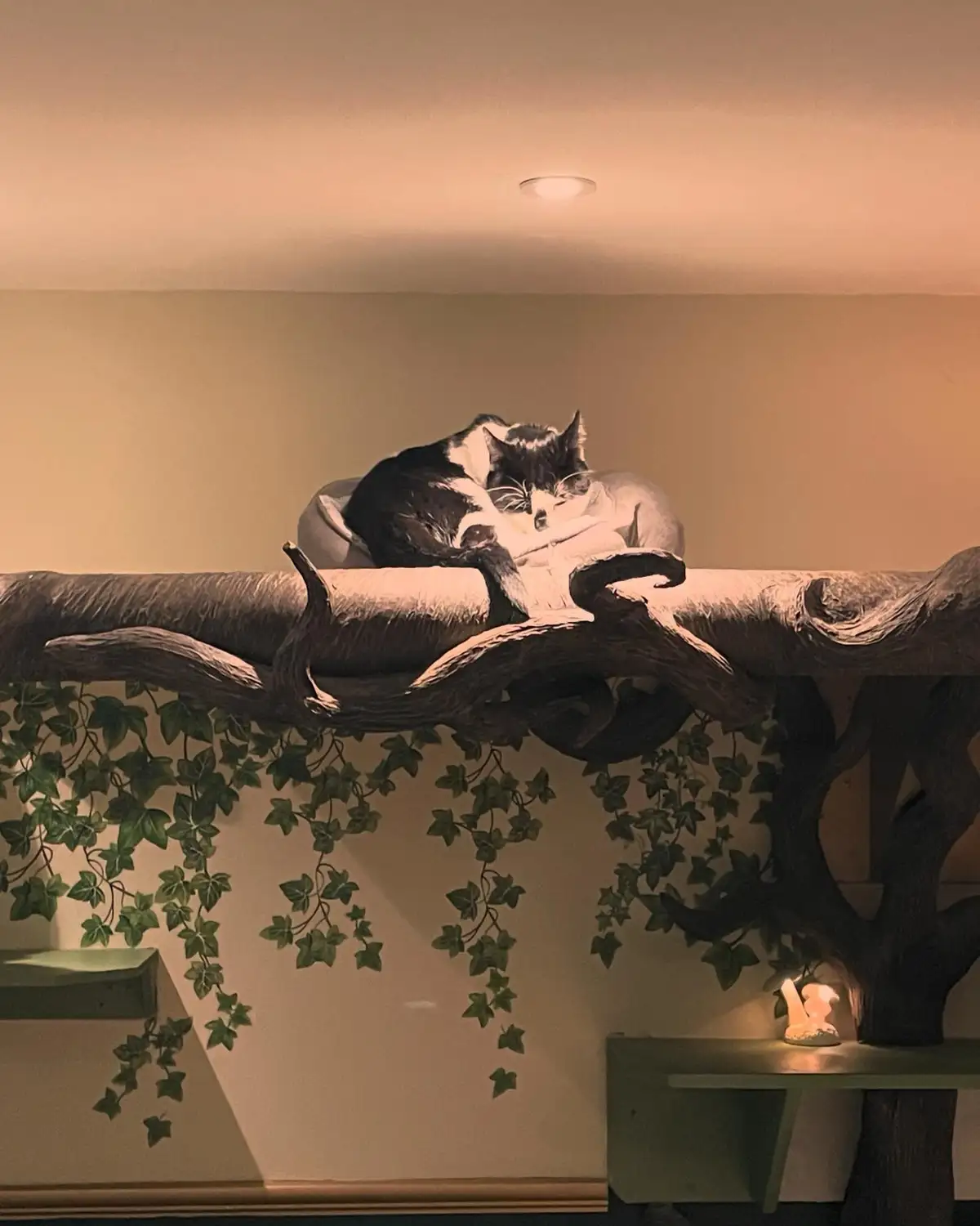 A black and white cat is curled up and sleeping soundly in a plush bed nestled on a large, decorative tree branch structure…