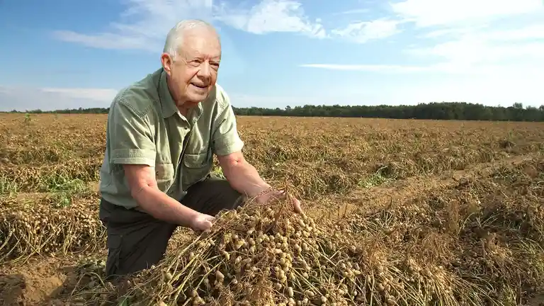 An older man with white hair, wearing a green shirt and dark pants, kneels in a harvested field holding a large pile of…