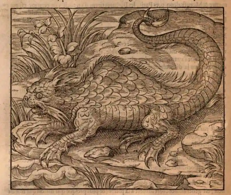 An old, detailed black-and-white woodcut depicts a fantastical dragon with a human-like face, scaly body, and long, coiled…