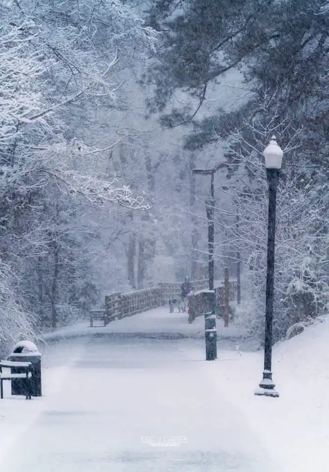 A snowy park scene with a person walking a dog across a bridge in the distance, surrounded by snow-covered trees and…
