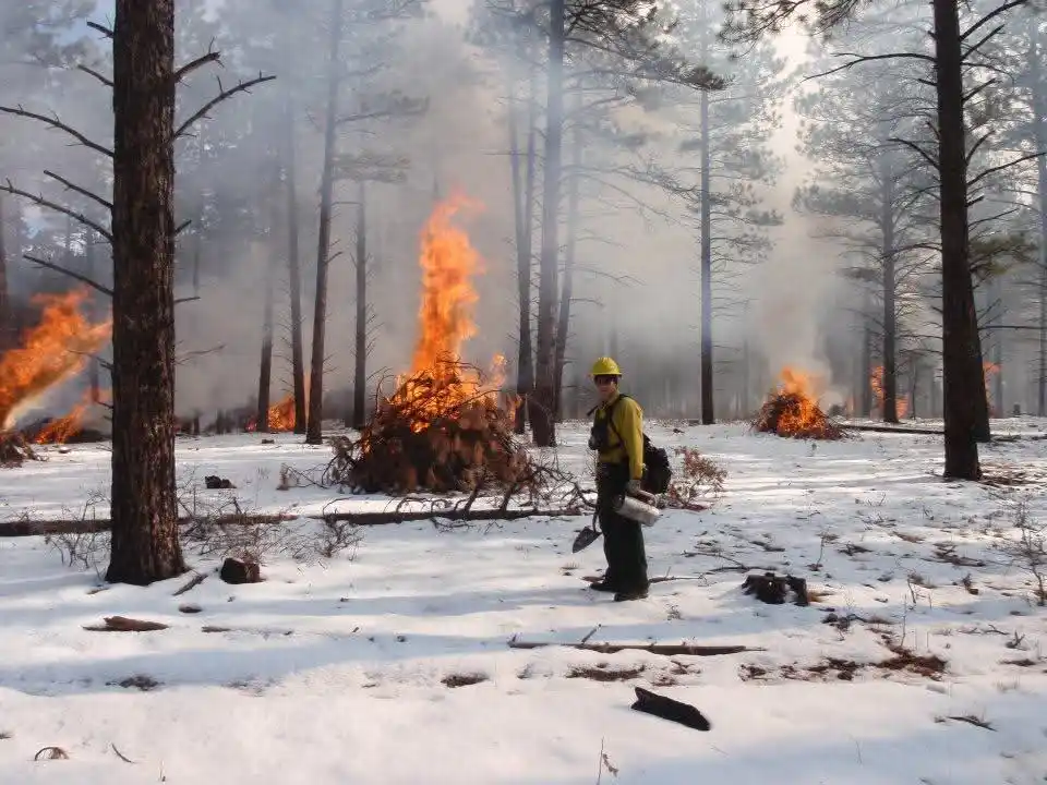 A person in a yellow fire-resistant suit and helmet stands in a snowy forest with multiple controlled burns actively flaming…