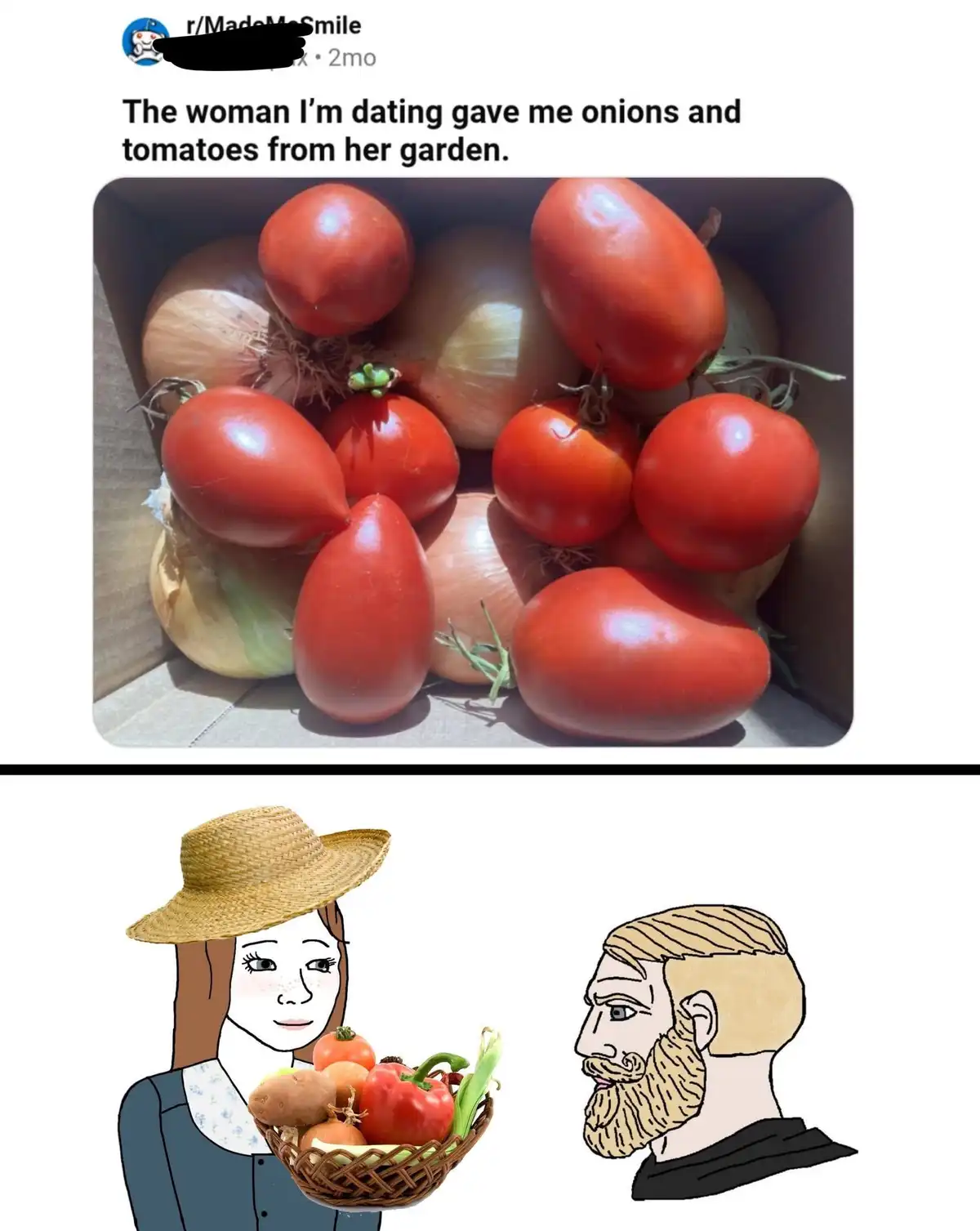 The top panel shows a cardboard box filled with fresh red tomatoes and yellow onions. The bottom panel features a cartoon…