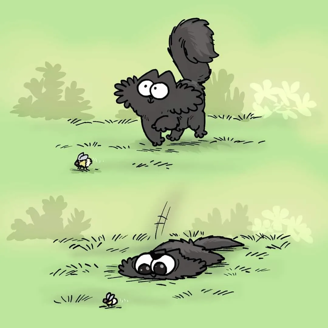 A two-panel cartoon shows a fluffy black cat in a grassy field. In the top panel, the cat stands alert, eyes wide, staring…