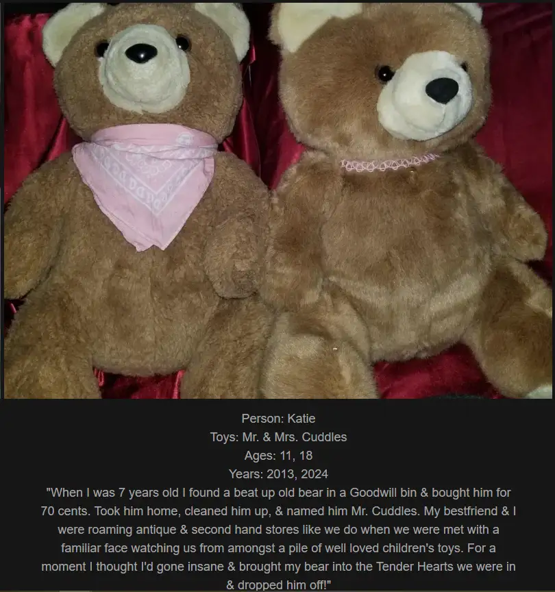 Two brown teddy bears sit side by side on a red fabric surface. The bear on the left wears a pink bandana, while the bear on…