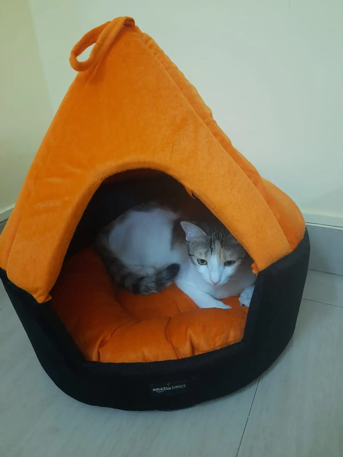 A calico cat with white, gray, and orange fur is curled up inside a bright orange, tent-like pet bed with a black base…
