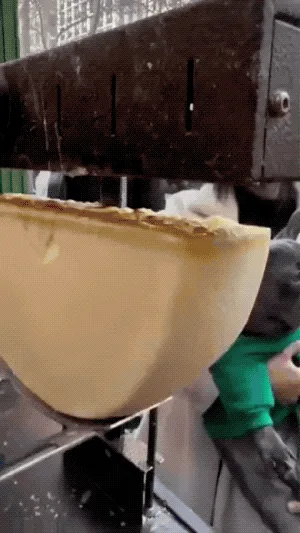 A woman holds a small black French bulldog wearing a green sweater while watching a large block of cheese being sliced and…