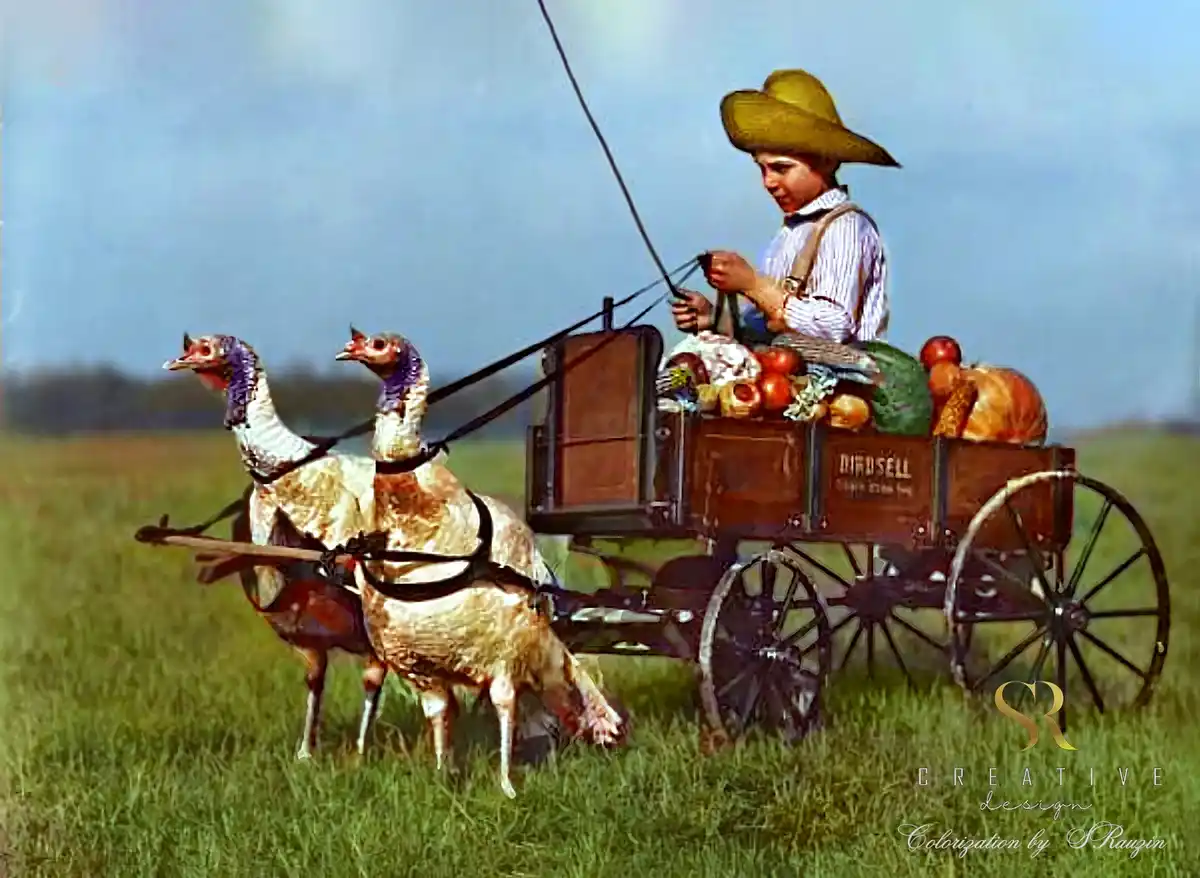 A colorized vintage photo shows a young person in a straw hat driving a wooden cart pulled by two turkeys. The cart is…