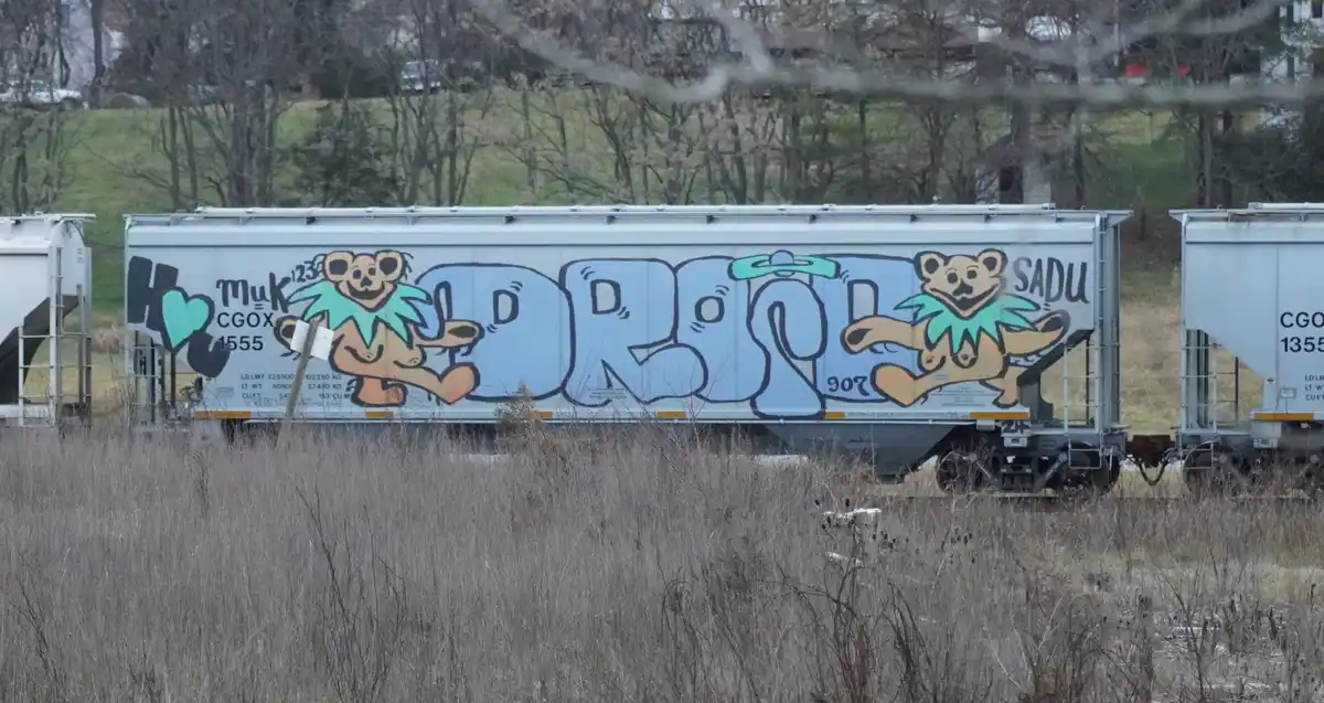 A silver freight train car is covered in graffiti, featuring large blue bubble letters spelling 'DROOL' flanked by two…