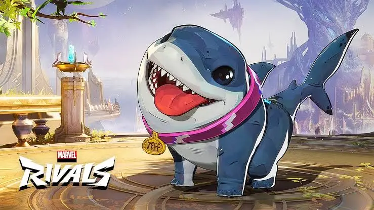 A cartoonish, chubby blue shark with a wide, toothy grin and a pink collar featuring a gold tag that reads 'JEFF' stands in…