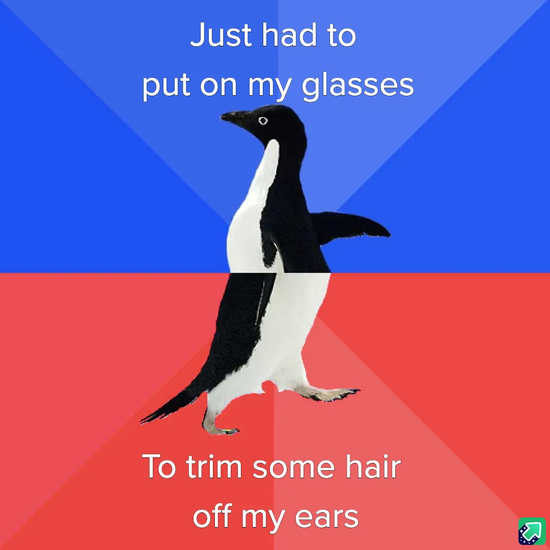 A penguin stands against a split blue and red background, with white text overlaid. The top text reads 'Just had to put on…
