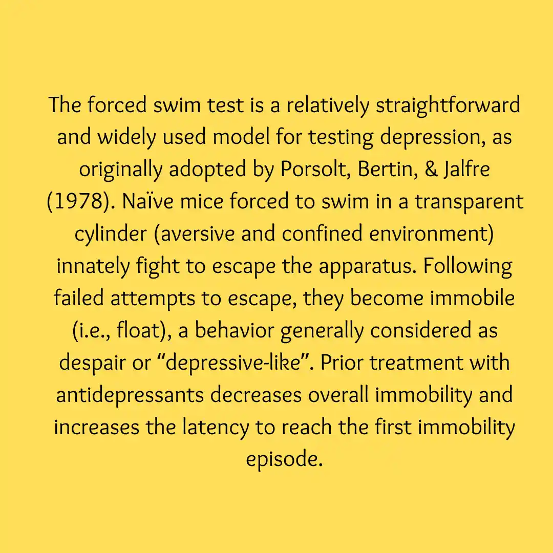 A solid yellow background features black text describing the forced swim test, a scientific method for measuring depression…