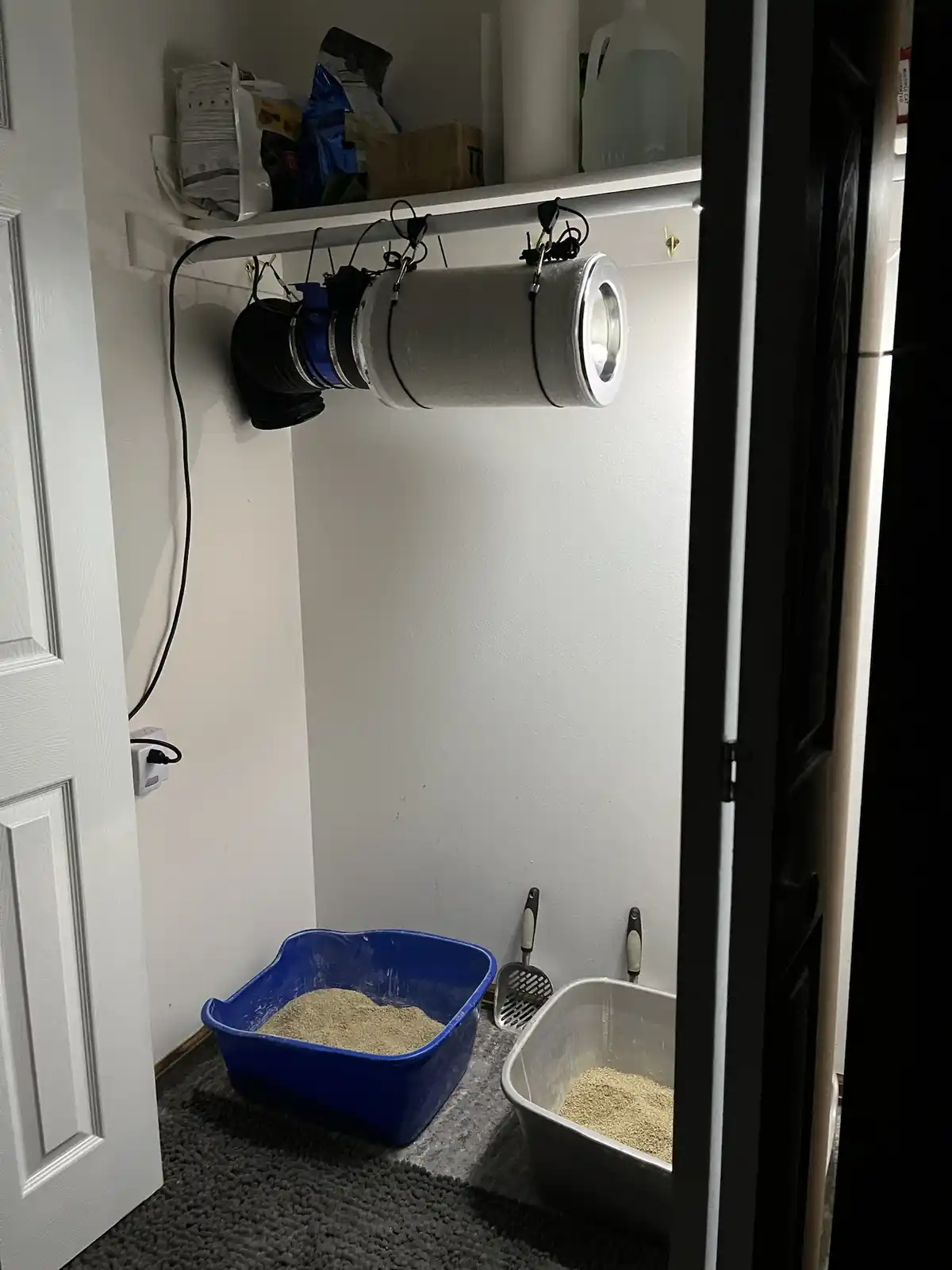 A small room with two cat litter boxes, one blue and one white, both filled with litter, and two cat litter scoops leaning…