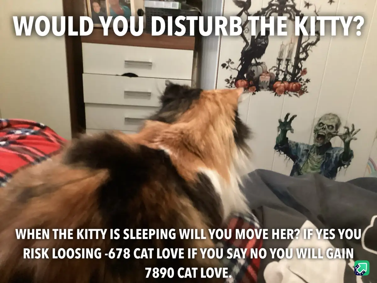 A fluffy calico cat is seen from behind, sleeping on a bed with a red plaid blanket. In the background, a Halloween-themed…