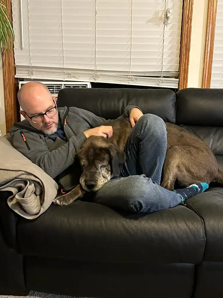 A man with glasses and a grey hoodie sits on a black leather couch, gently petting a large, sleepy-looking brown dog that is…