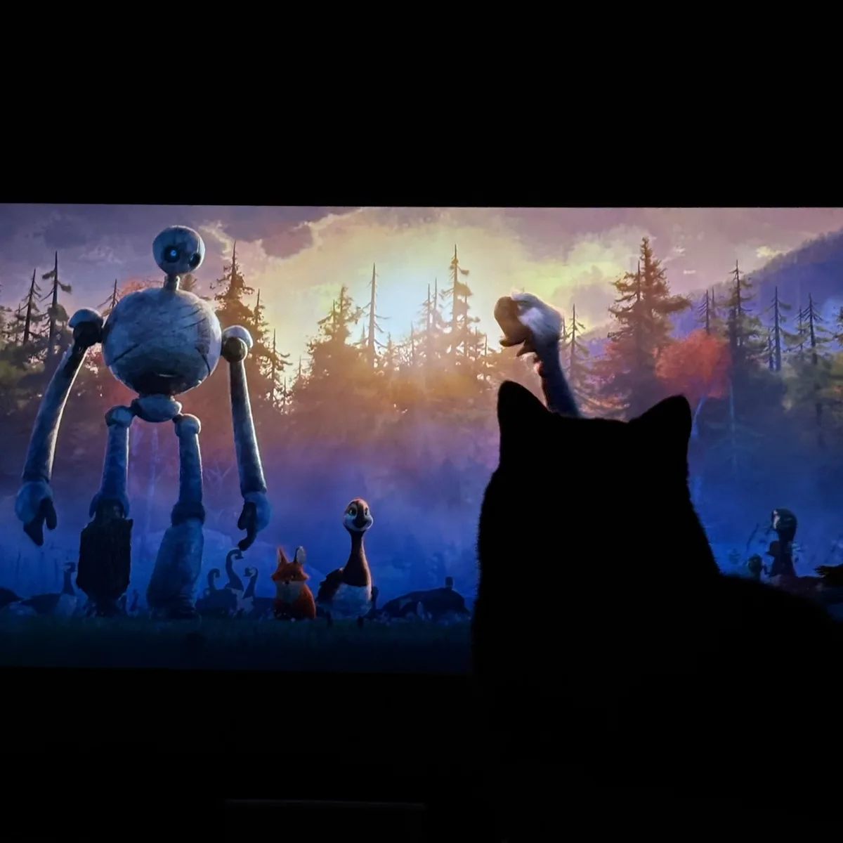 A black cat's silhouette is seen from behind, sitting in a dark room and watching a movie screen. On the screen, a scene…
