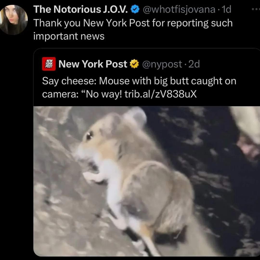 A screenshot of a Twitter thread shows a user thanking the New York Post for reporting 'important news' about a mouse with a…