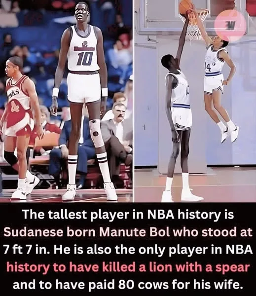 The image is a split-screen photo of NBA player Manute Bol. The left panel shows him standing tall on a basketball court…