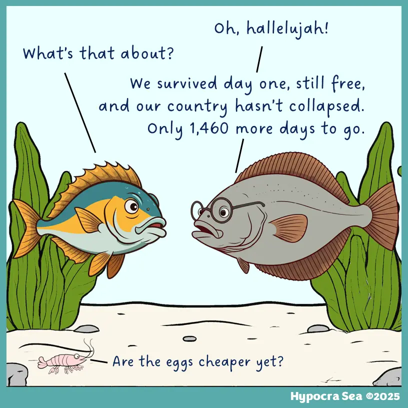 Two cartoon fish are having a conversation underwater. The fish on the left asks 'What's that about?' while the fish on the…