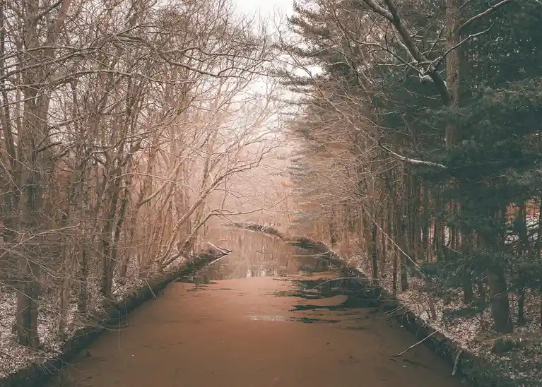 A serene, muted-toned photograph of a narrow, muddy creek or canal flanked by bare deciduous trees and evergreens, with a…