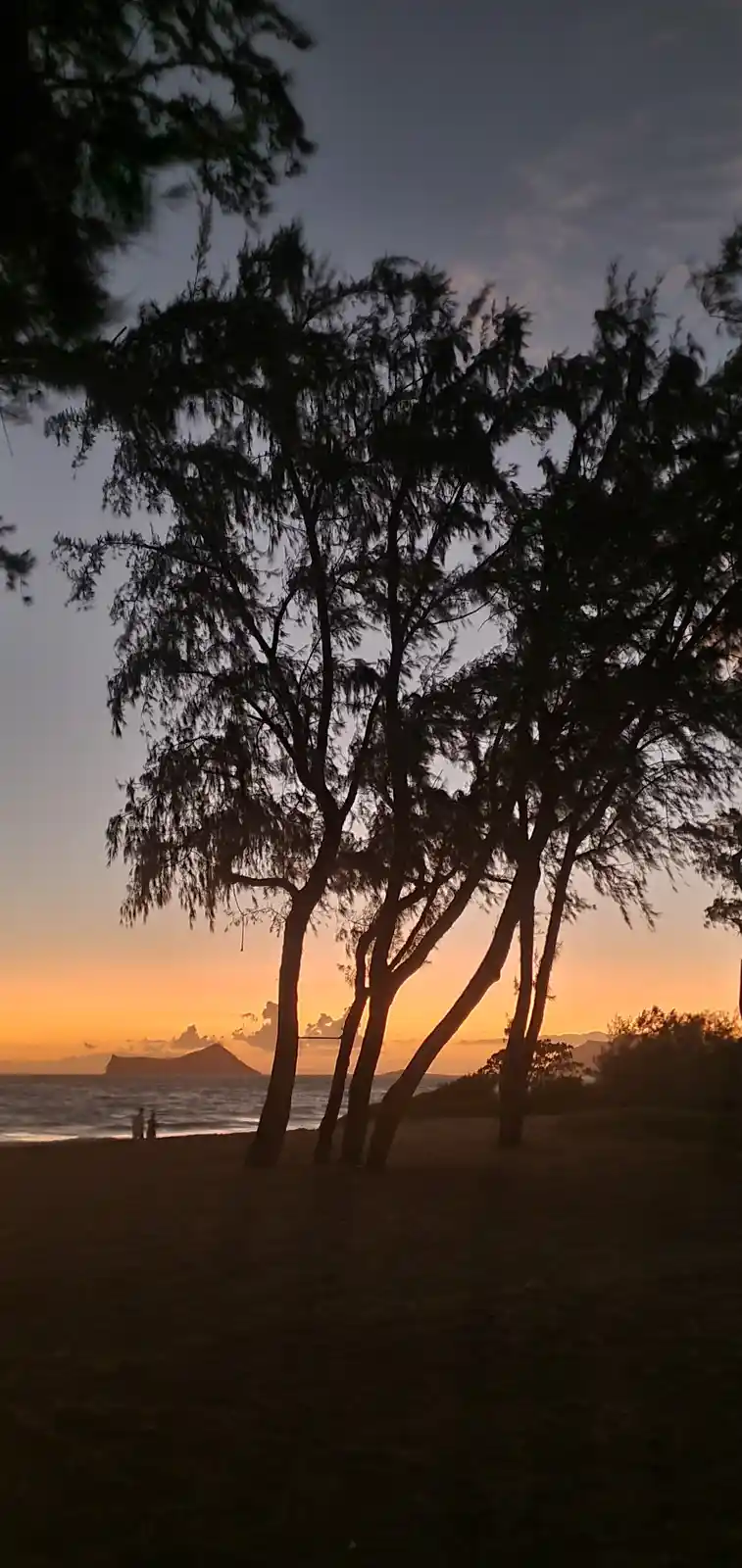 A serene beach sunset photo with silhouetted trees and two people walking on the shore, overlaid with the text 'i'm not…